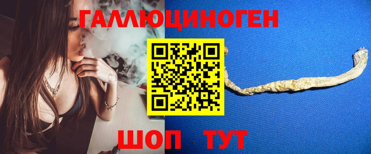 Псилоцибиновые грибы Psilocybine cubensis Великий Новгород