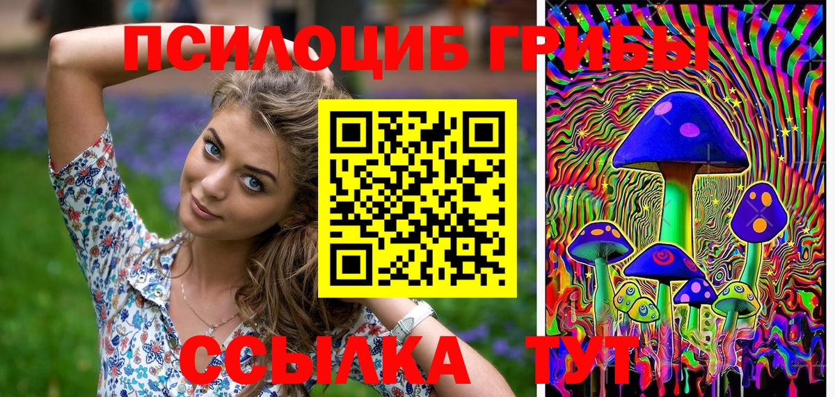 наркота  Галлюциногенные грибы мухоморы  Великий Новгород  Вход с VPN  Галлюциногенные грибы Cubensis 